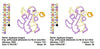Applique Dragon Machine Embroidery Design - Embroidery Designs By AVI