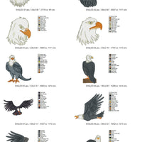 Realistic Eagles Birds Machine Embroidery Designs Set of 10 - Embroidery Designs By AVI