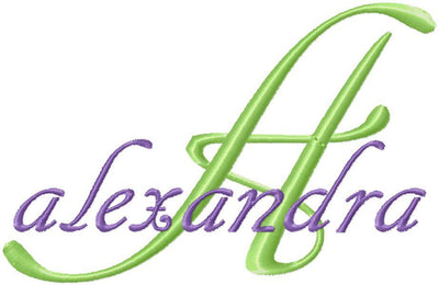 Elegant Script Embroidery Monogram Font Design Set