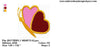 Butterfly Butterflies Heart II Wings Machine Embroidery Design - Embroidery Designs By AVI