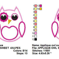 Sweet Owl Applique Machine Embroidery Design - Embroidery Designs By AVI