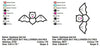 Halloween Bat Applique Machine Embroidery Design Pattern - Embroidery Designs By AVI